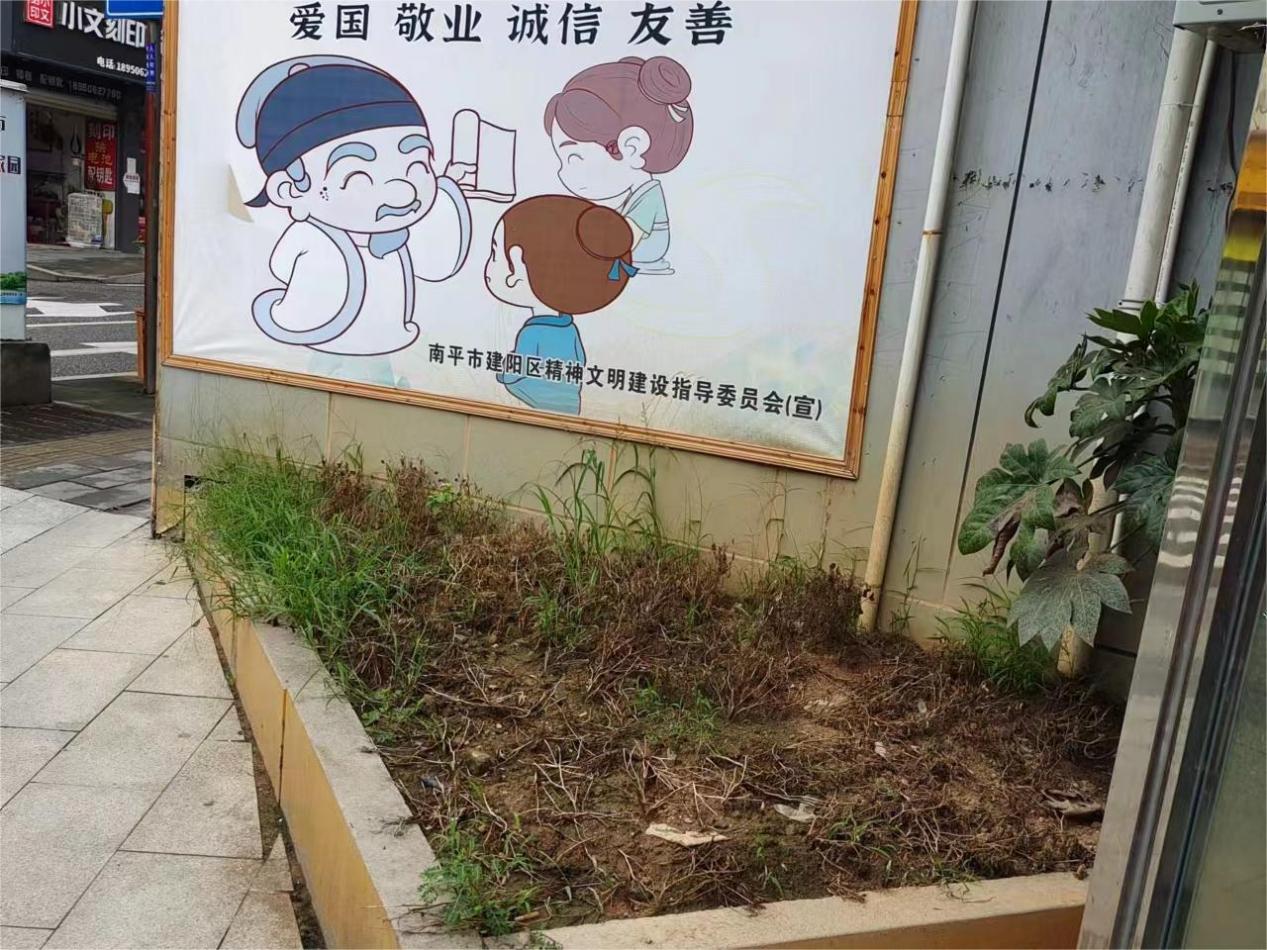 圖片19.jpg