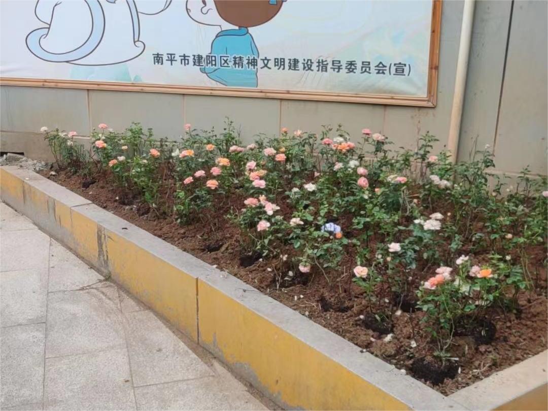 圖片20.jpg